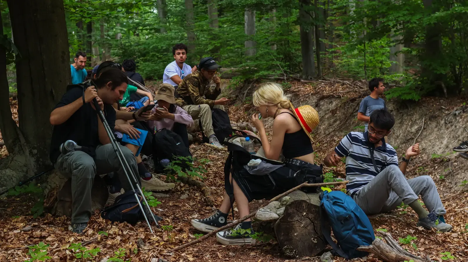 Grupo de jóvenes descansando sobre troncos en medio del bosque