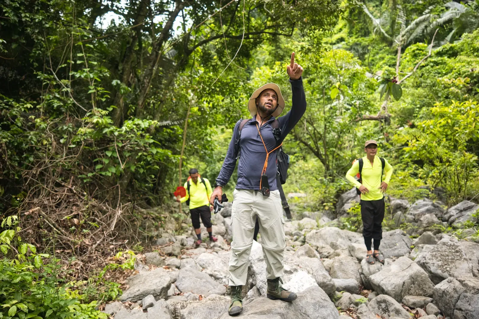 Guía con sombrero señalando hacia las copas de los árboles en un sendero rocoso, con dos caminantes detrás