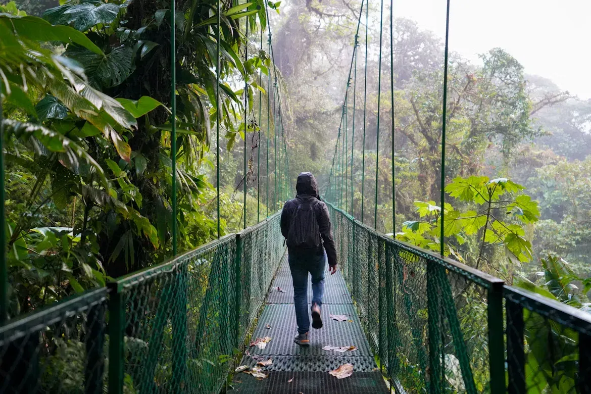 Persona caminando sobre un puente colgante en el bosque nuboso de Monteverde